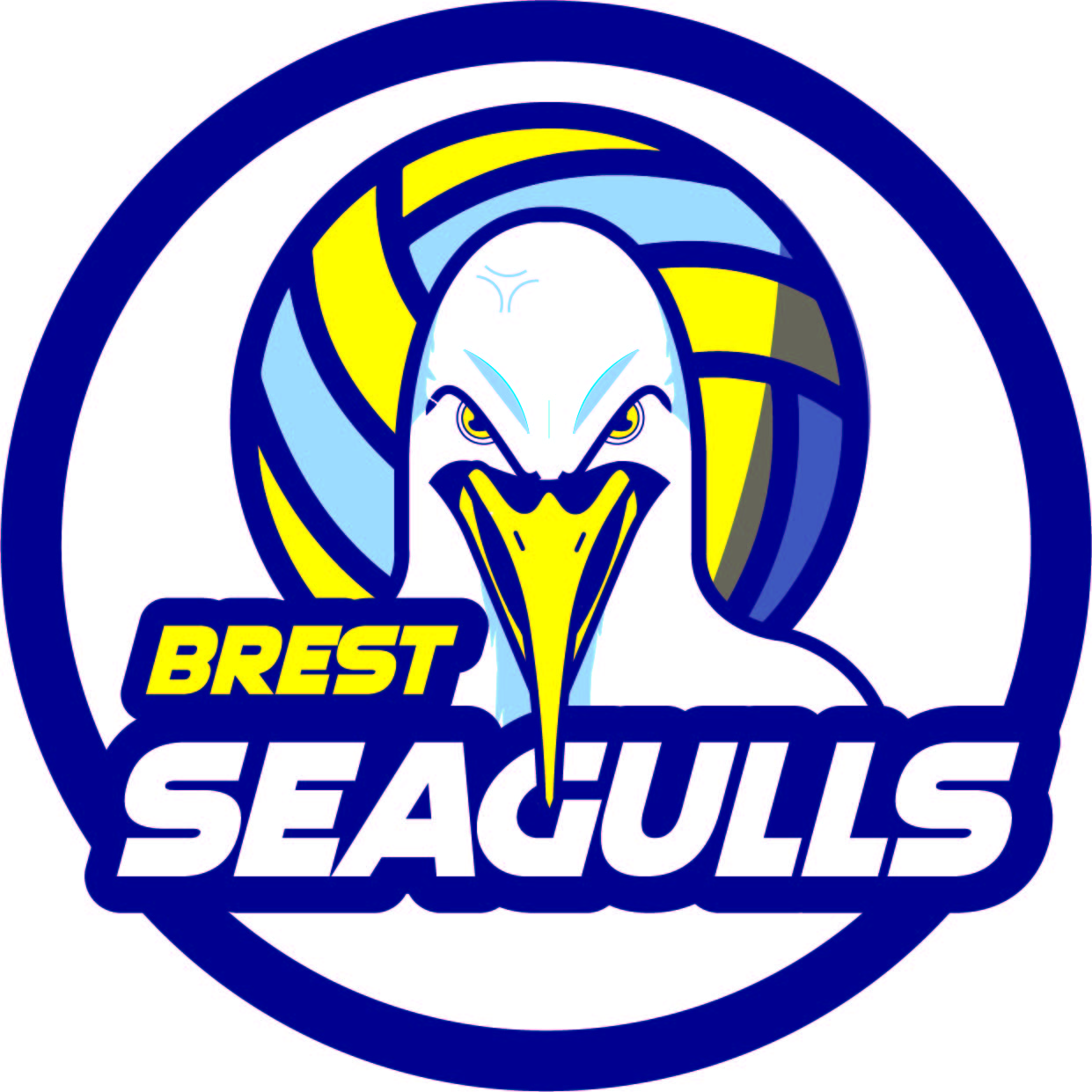 Logo Brest Seagulls Volley-Ball