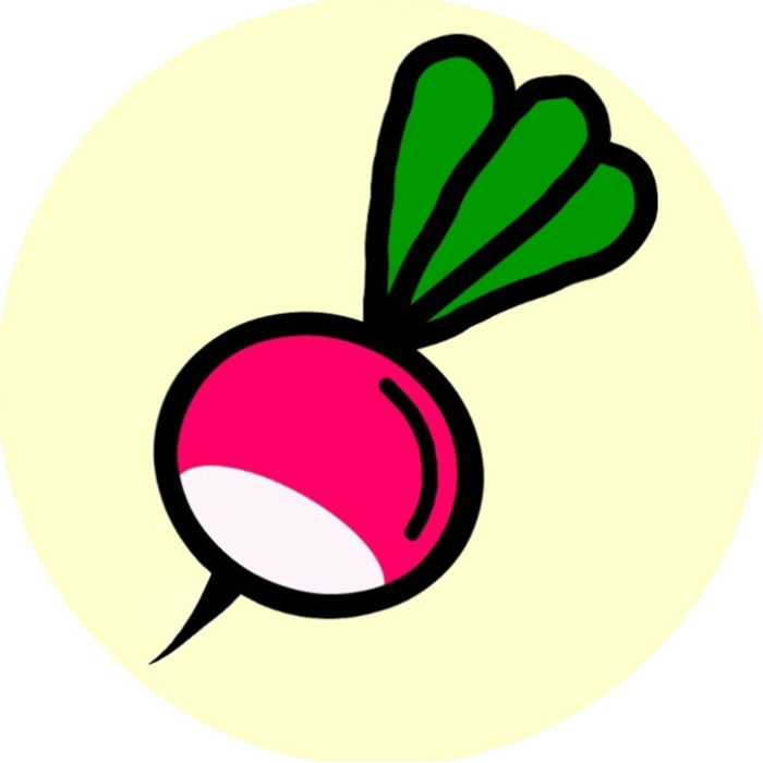 Logo RADIS 49