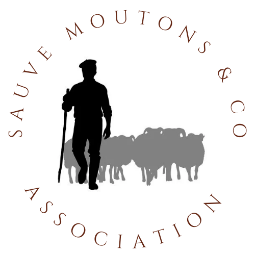 Logo sauve moutons & co