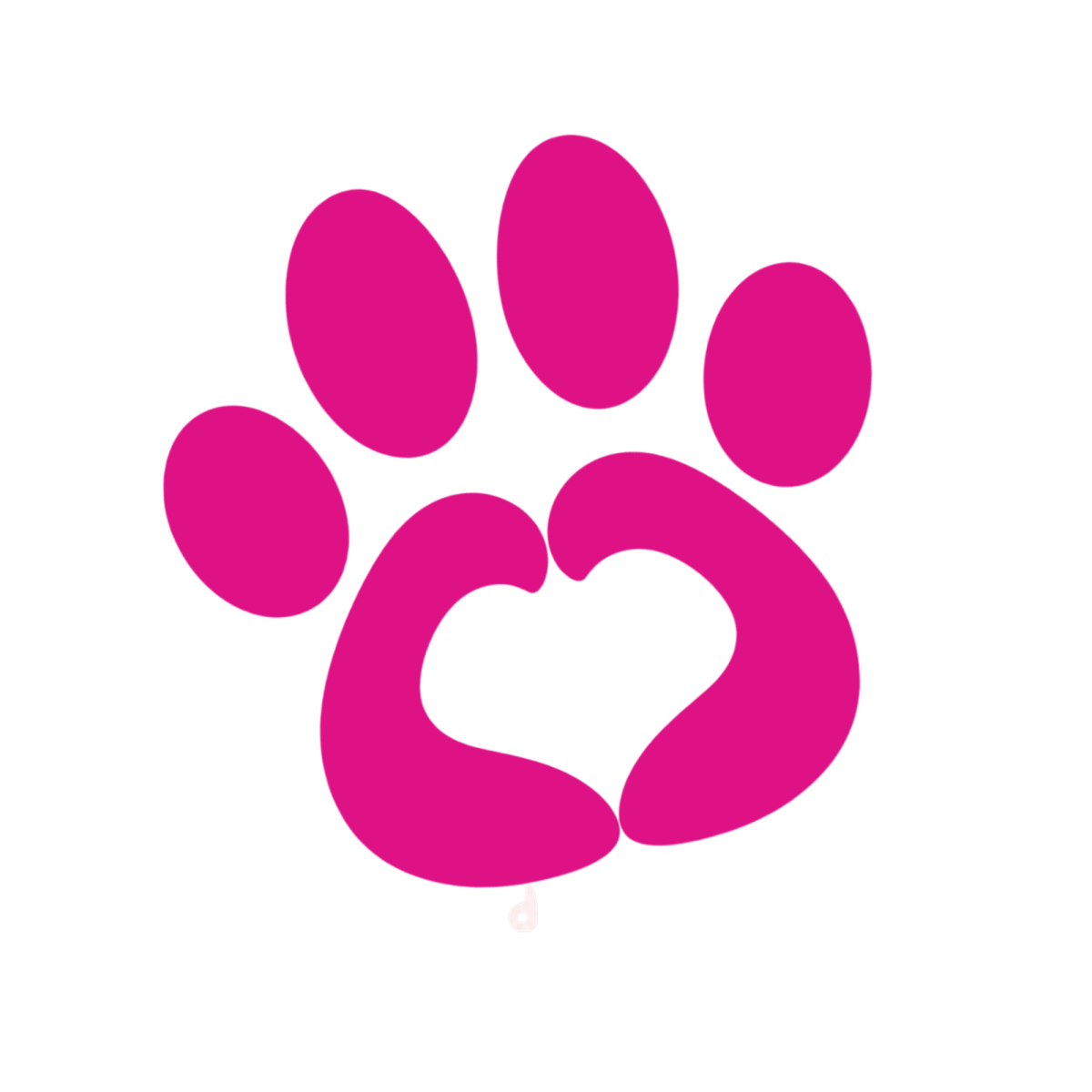 Logo CATS Cheerleaders