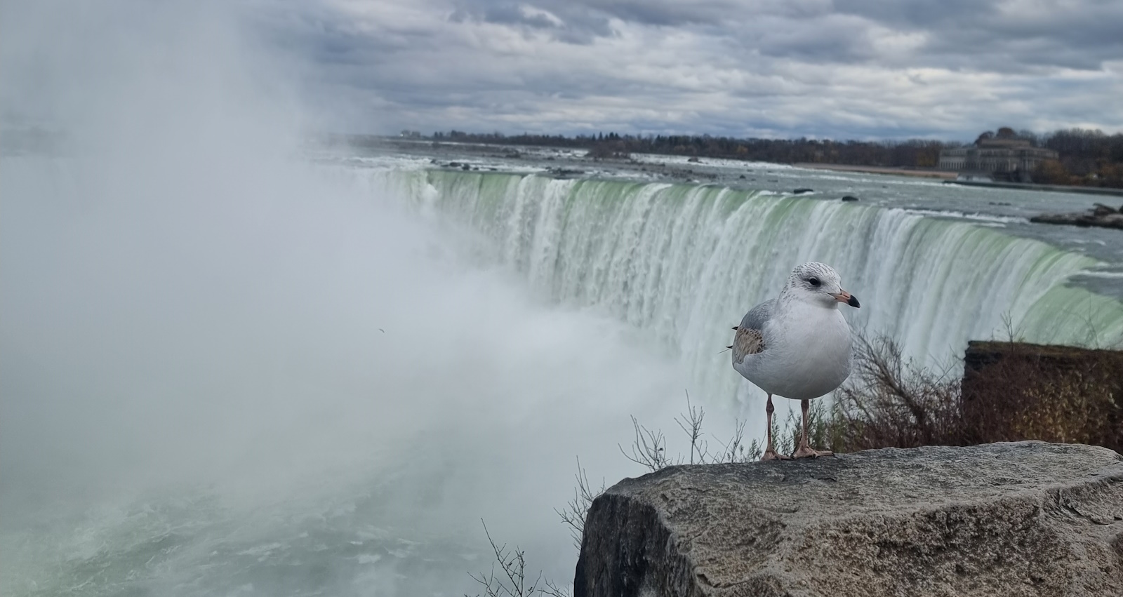 Niagara falls