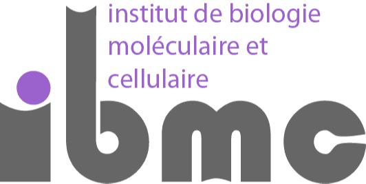 Articles - Image d'intro
