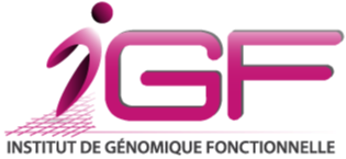 Articles - Image d'intro