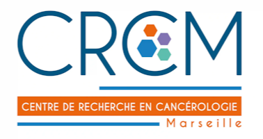 Articles - Image d'intro