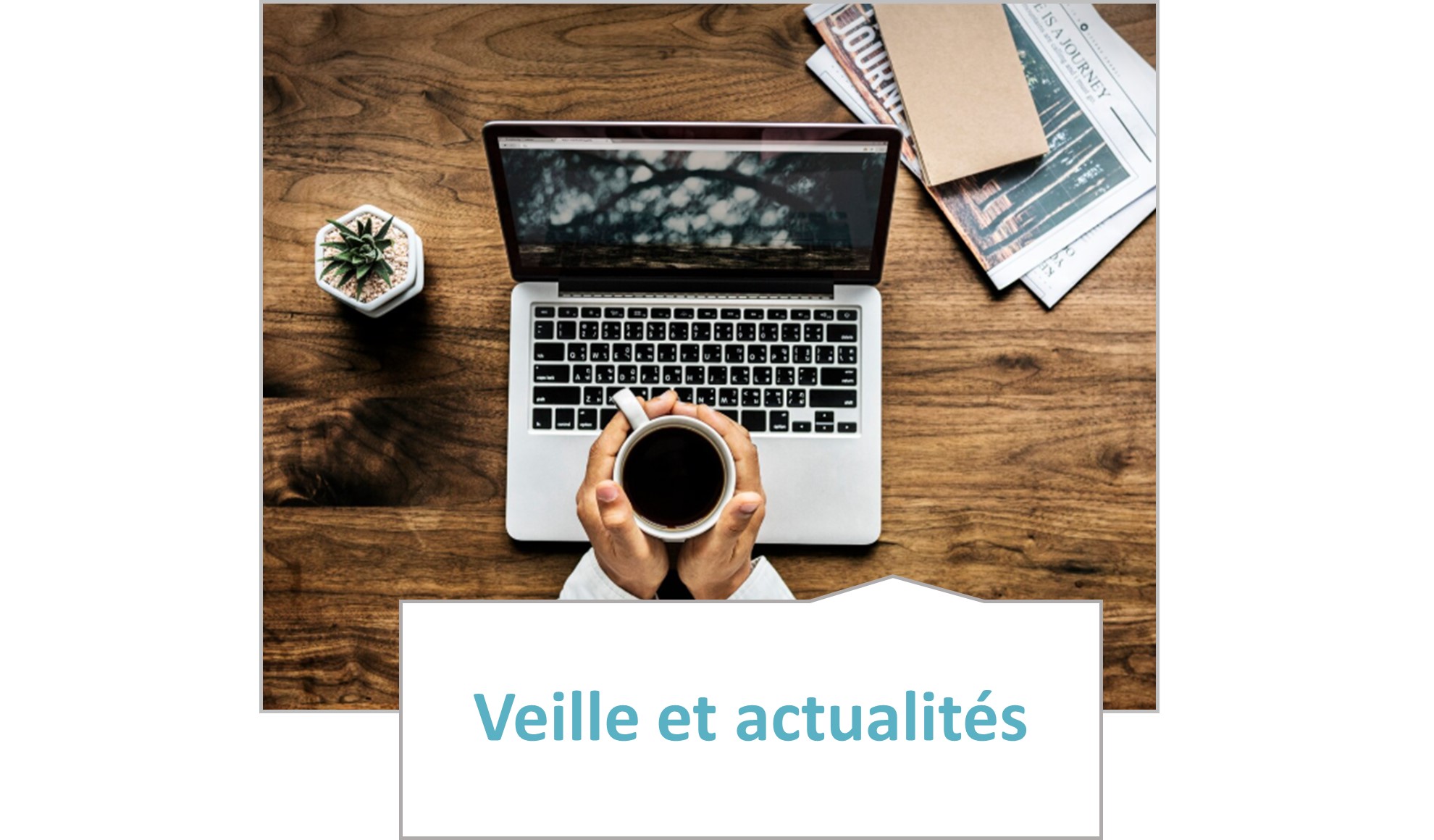 Articles - Vignette