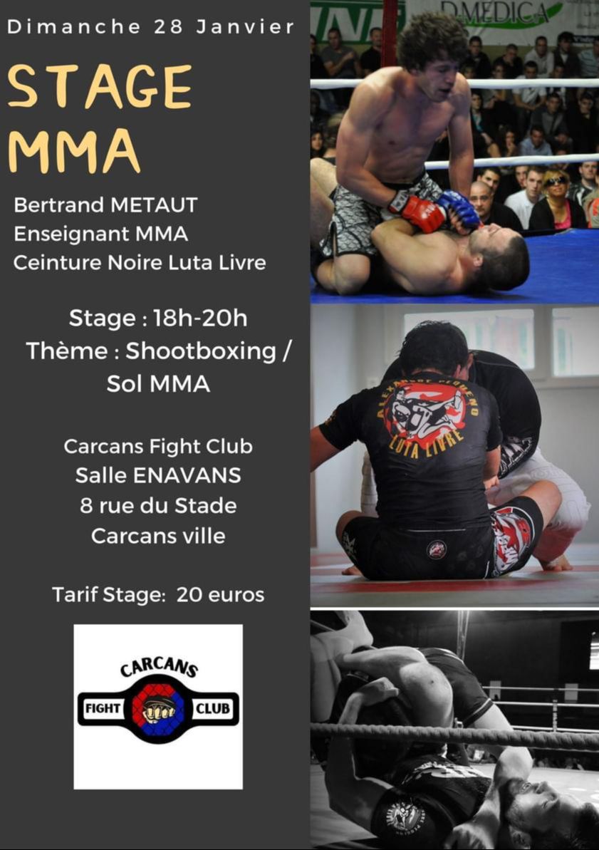 Stage MMA avec Bertrand Metaut
