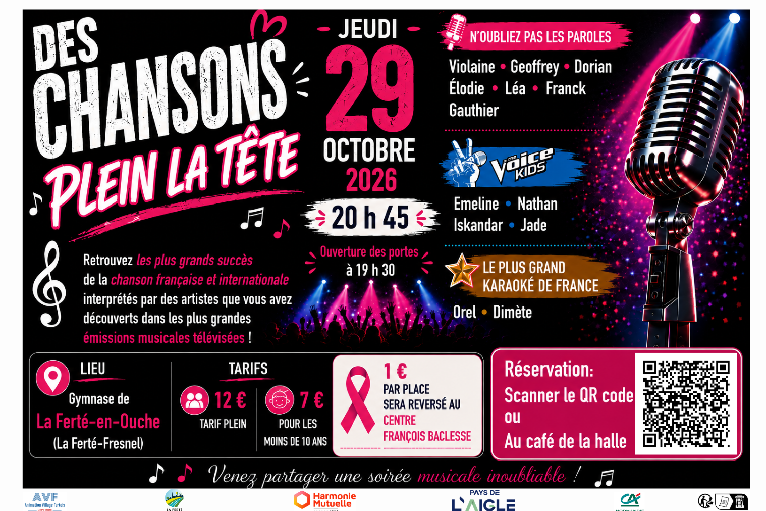 Des chansons plein la tête