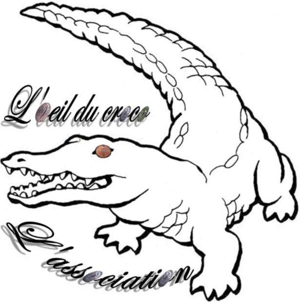 Logo ASSOCIATION L'OEIL DU CROCO