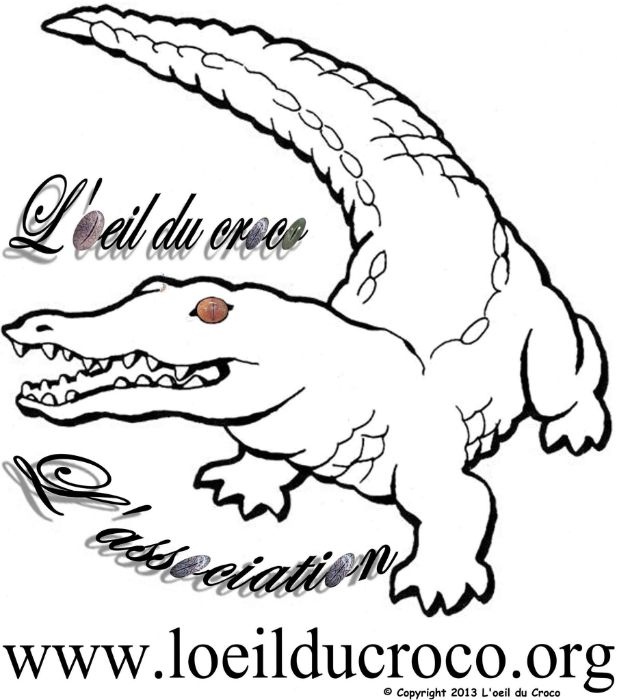 Logo ASSOCIATION L'OEIL DU CROCO