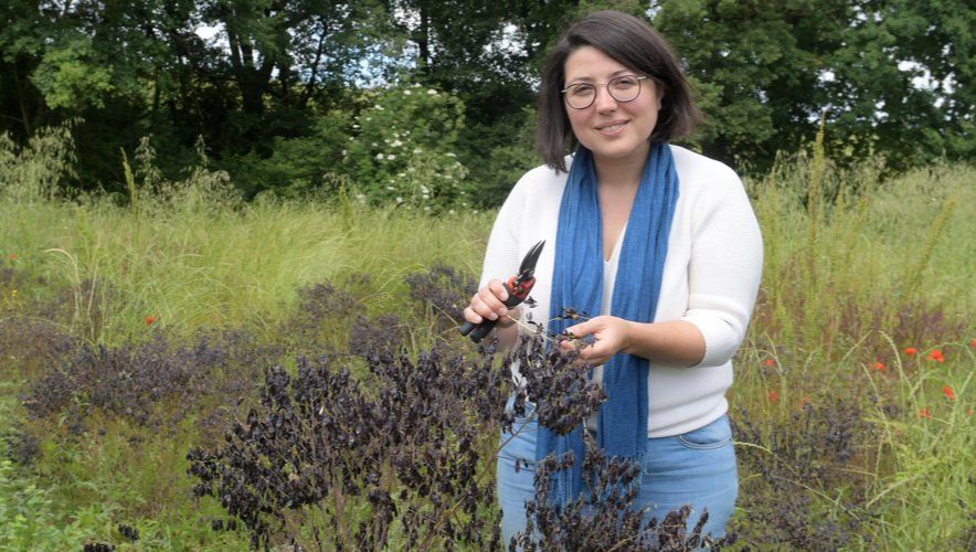 Atelier reconnaissance des plantes et création de tisane