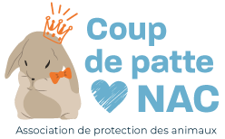 Logo Coup de patte NAC