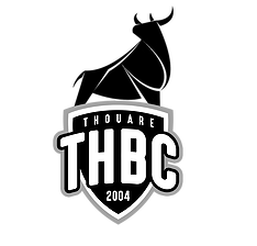 Logo Thouaré Handball Club