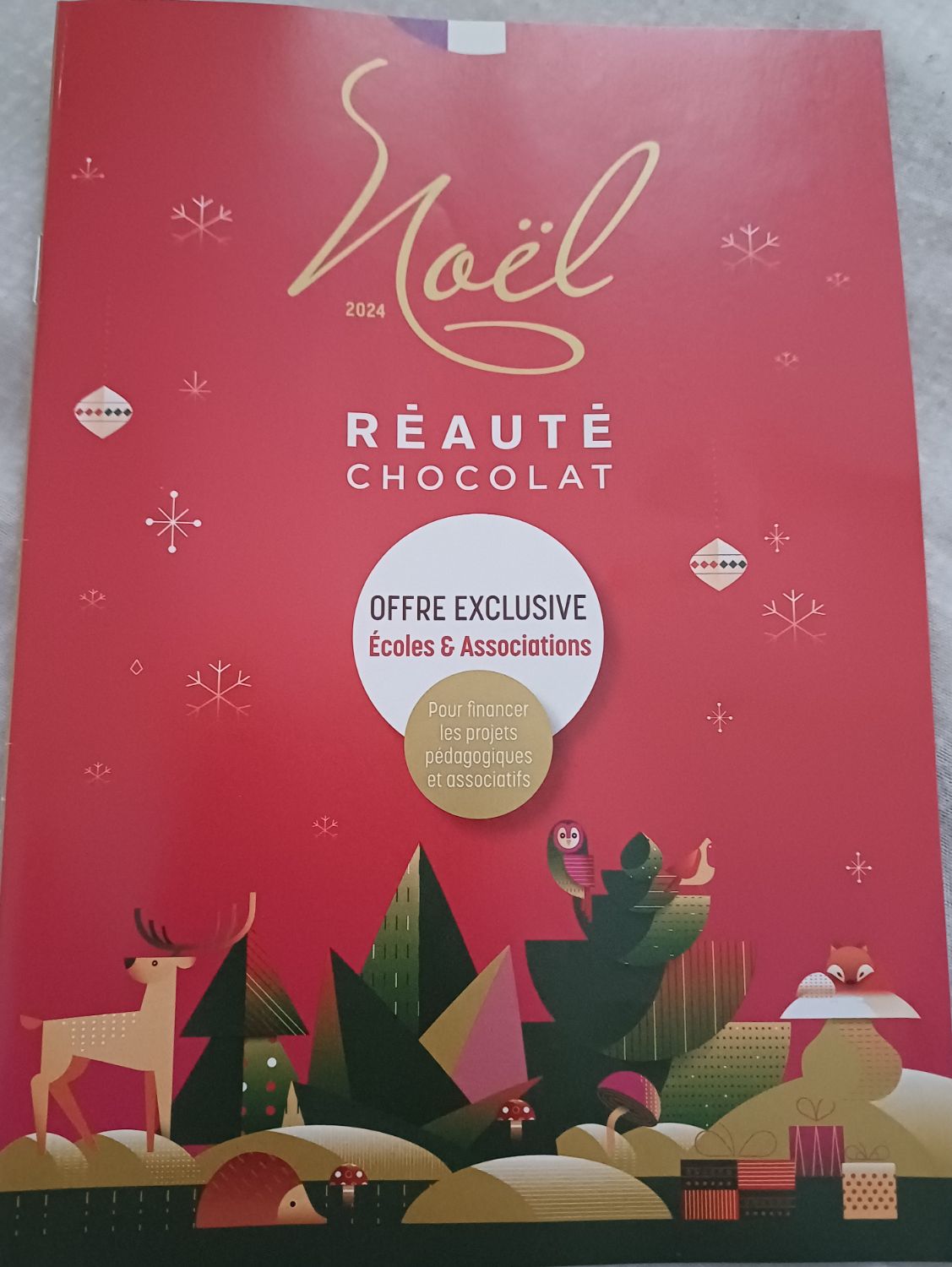Vente de Chocolats de Noël