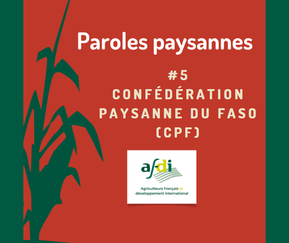 Articles - Image d'intro