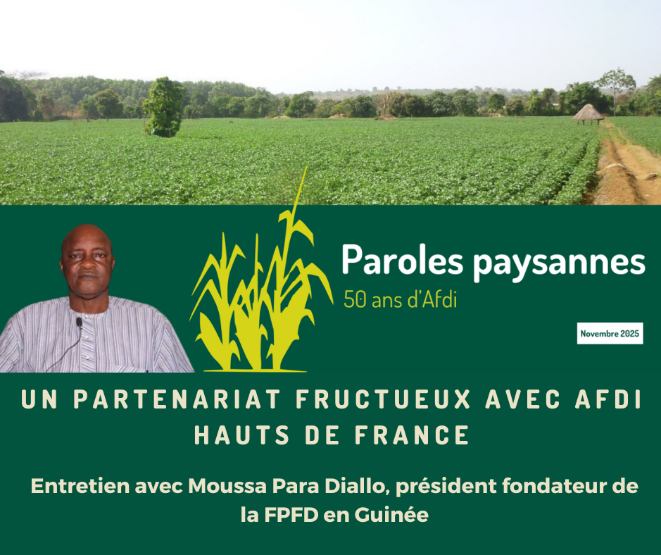 Articles - Image d'intro