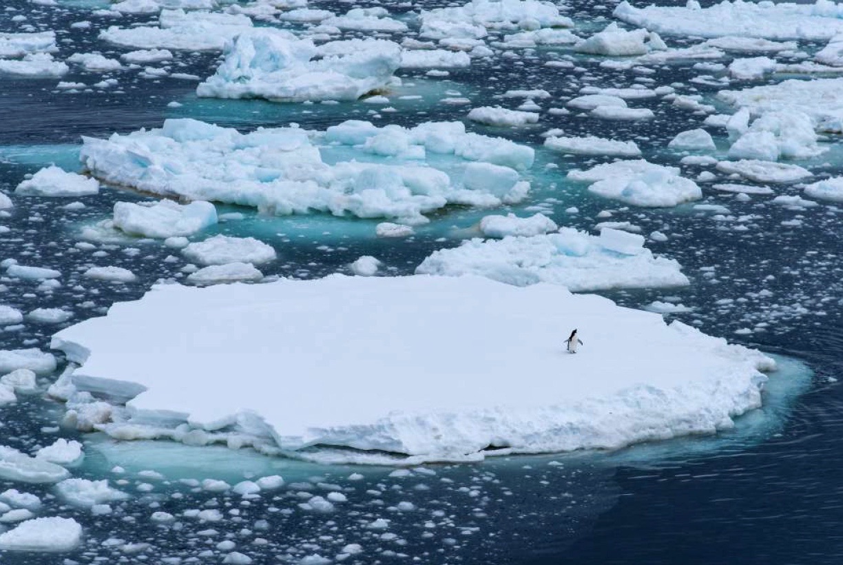 Conférence: La crise climatique et l'avenir de notre histoire
