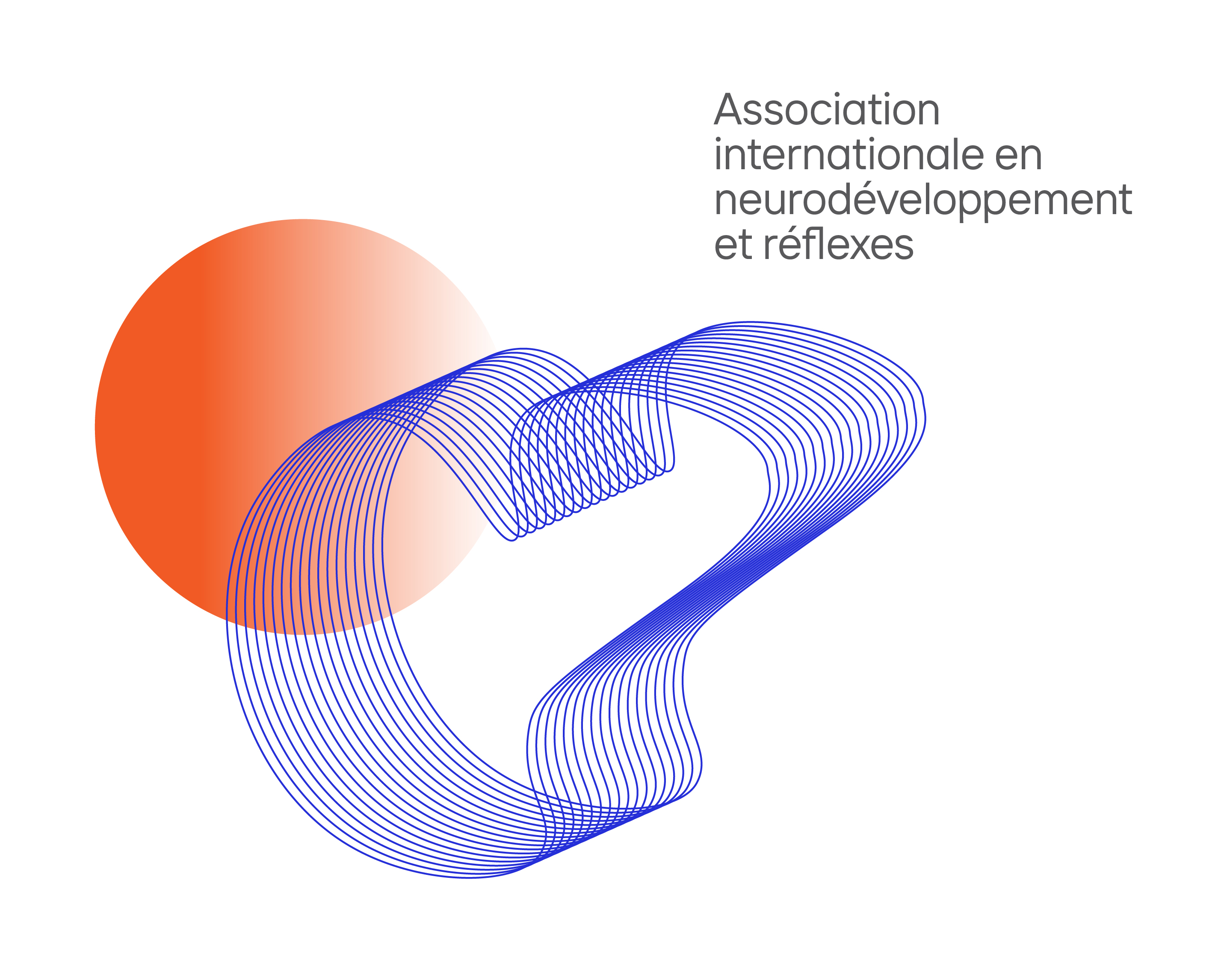 Logo AINR - Association Internationale en Neurodéveloppement & Reflexes