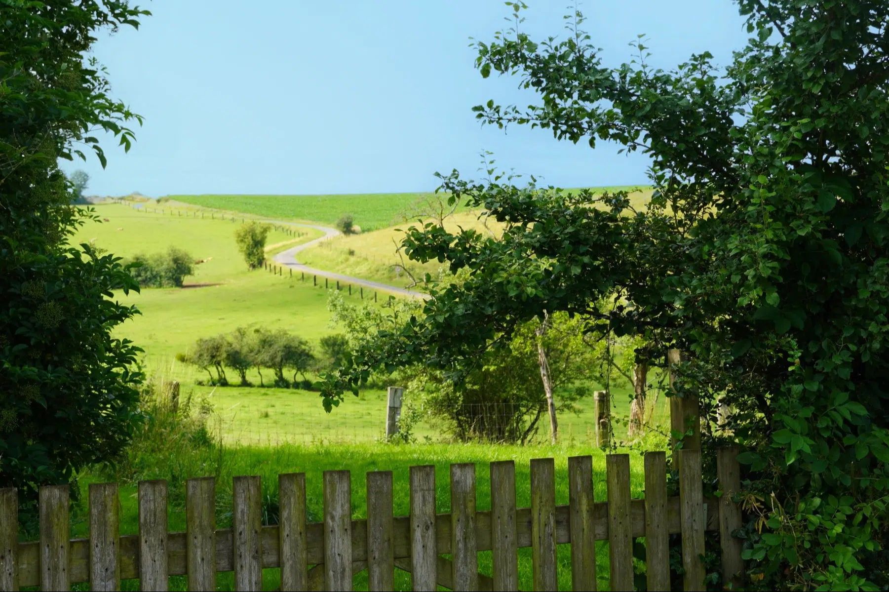 Balade autour d'Aouste
