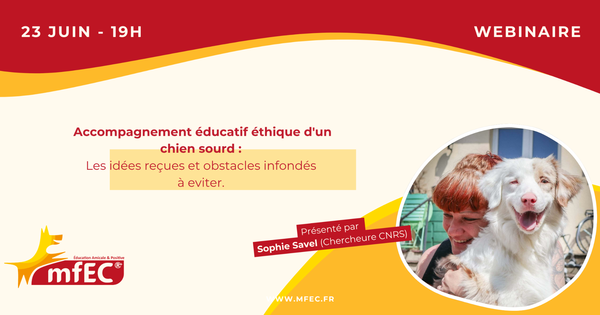 Accompagnement éducatif éthique d'un chien sourd : les idées reçues et obstacles infondés à éviter