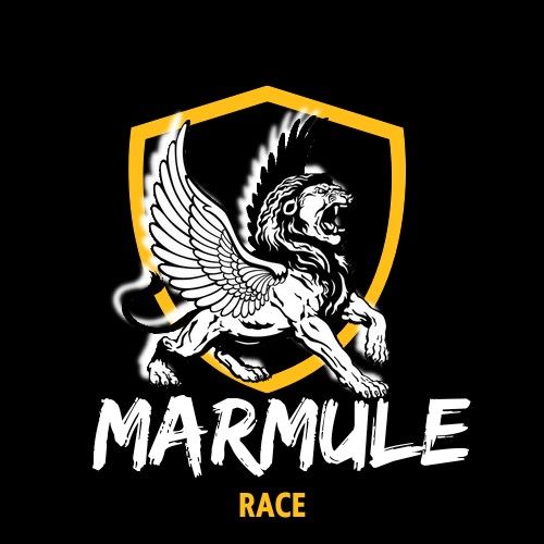 Logo Marmule Ouest Organisation