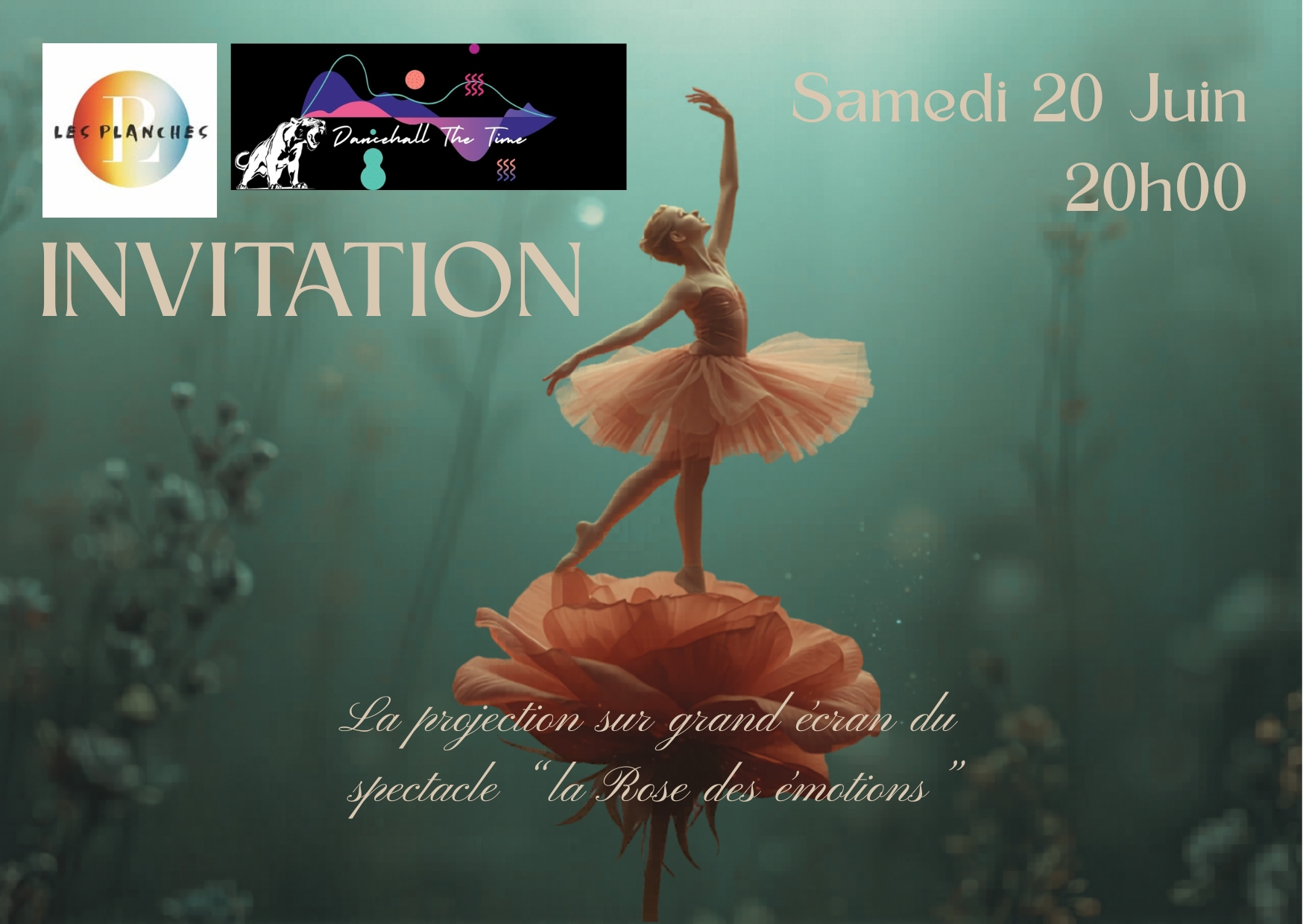 Soirée projection du spectacle