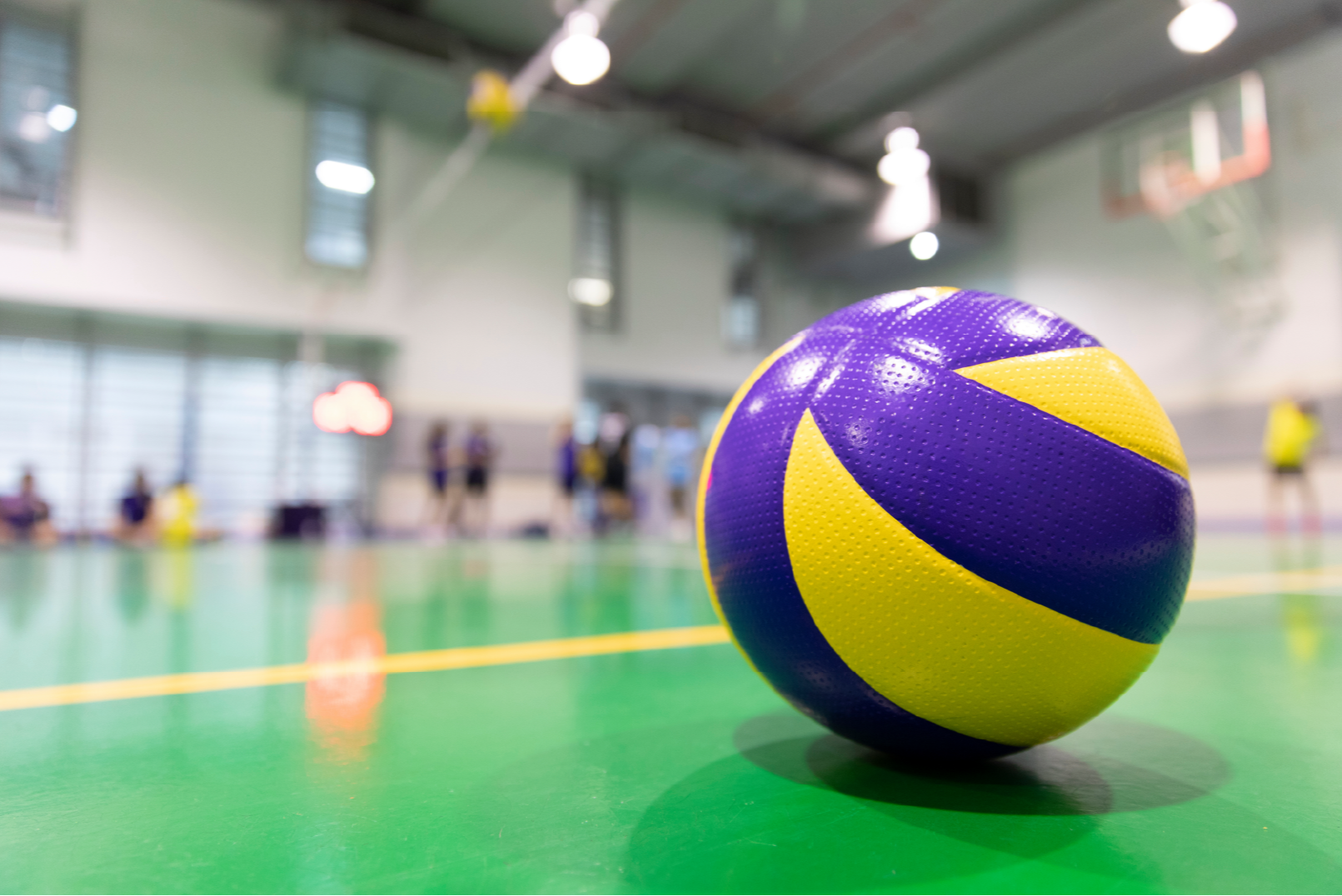 Handball 2025-2026