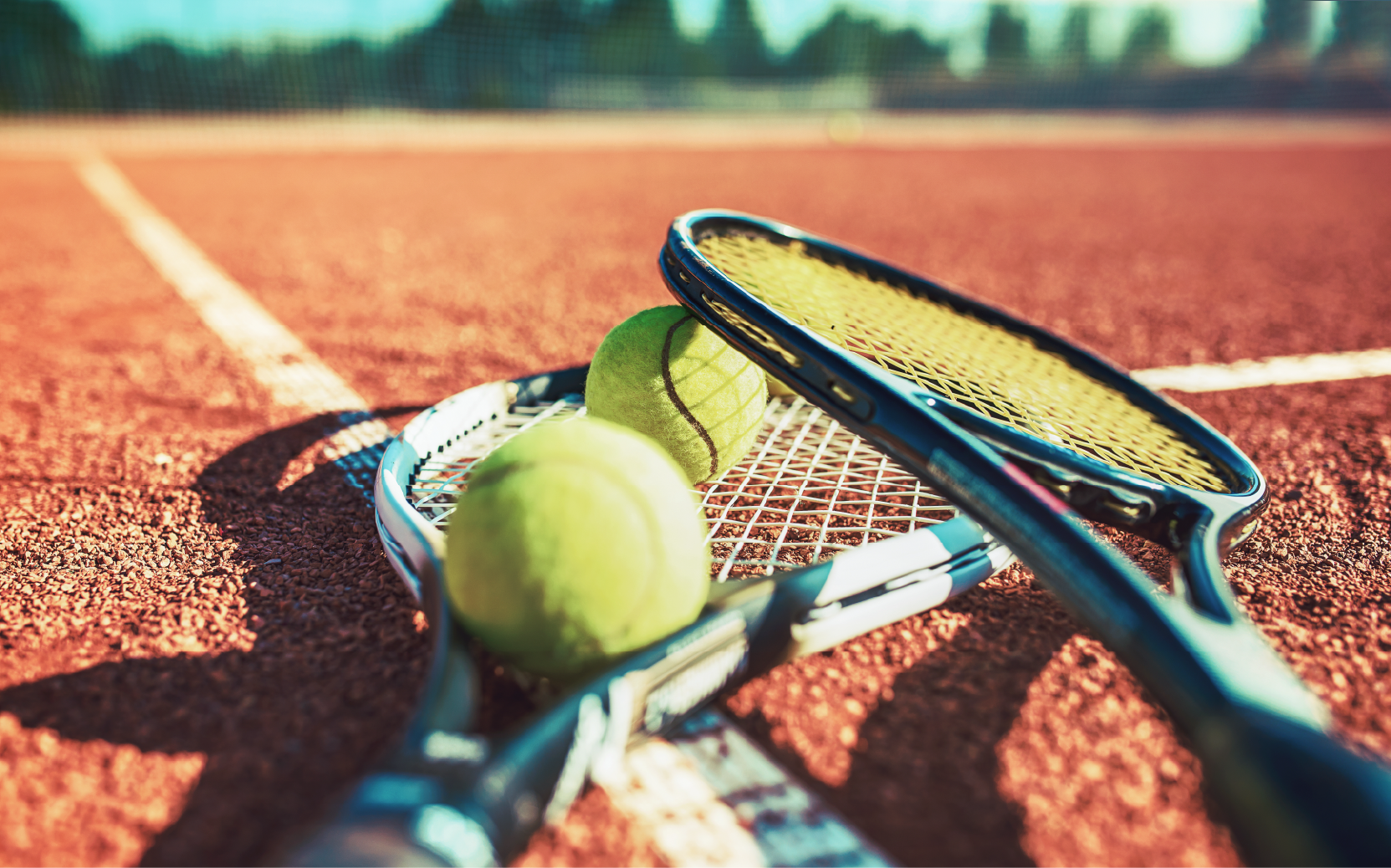 Touch Tennis & Pickleball 2025-2026