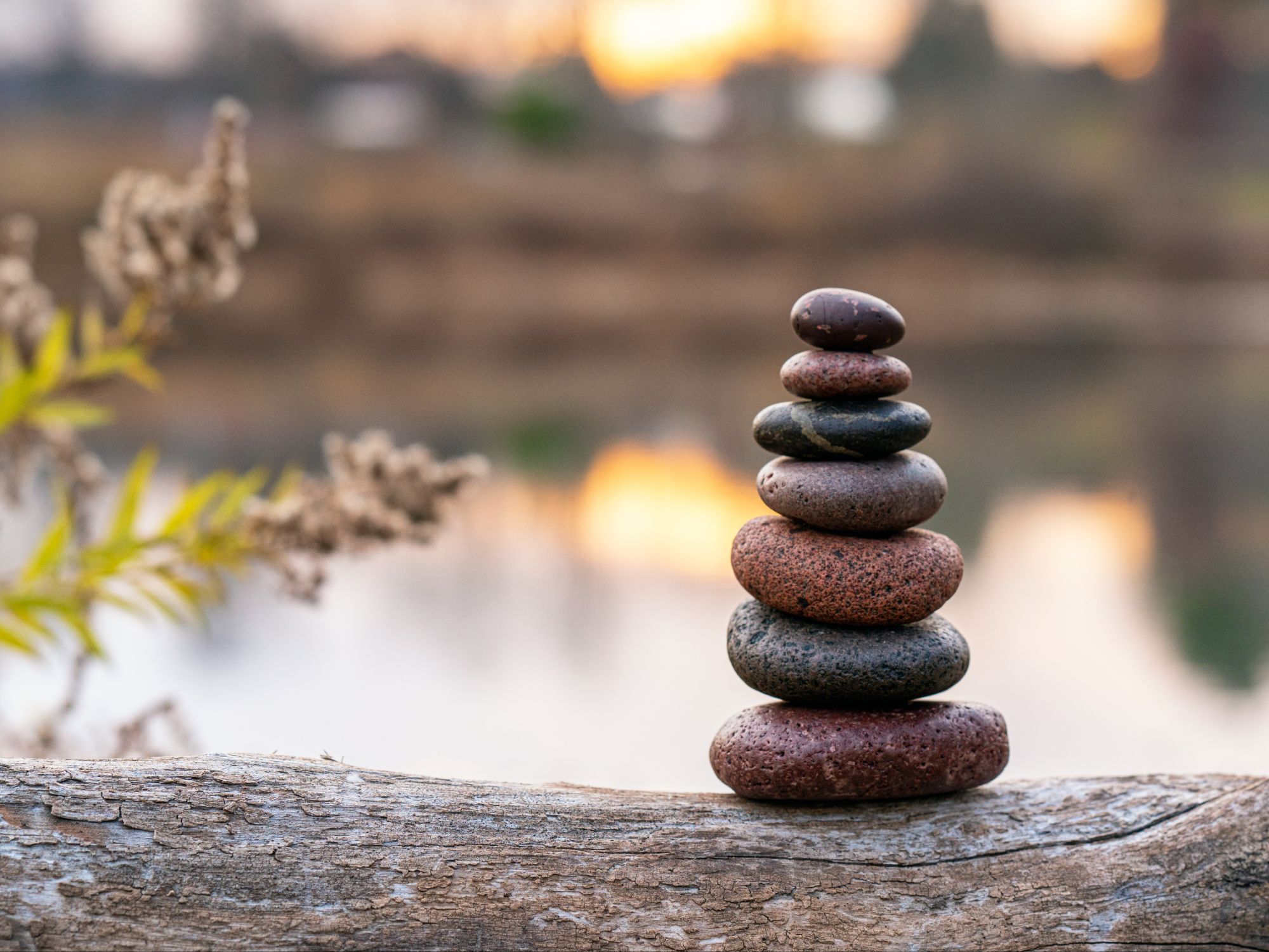 Yoga sur chaise 26/07