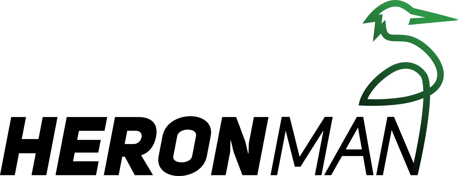 Logo Villeneuve d'ascq triathlon