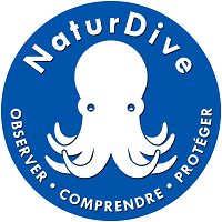 Logo Association NaturDive