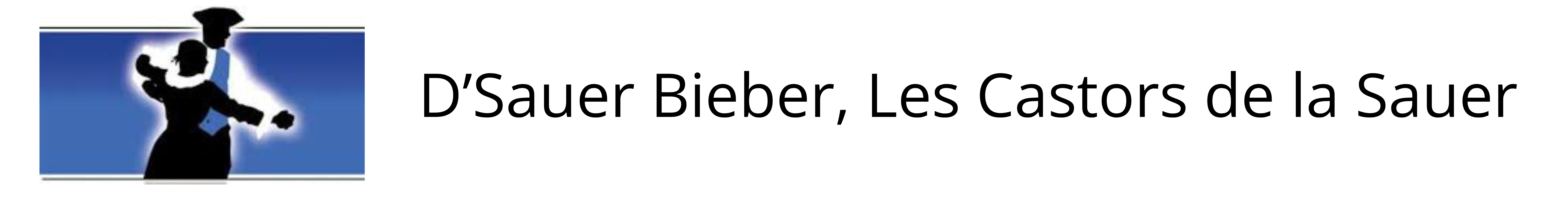 Logo D'Sauer Bieber