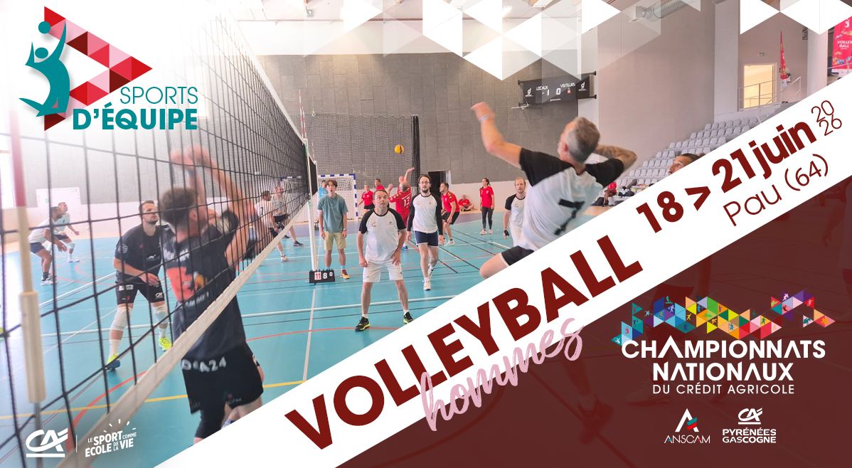 VOLLEY-BALL HOMMES - Championnat national 2026