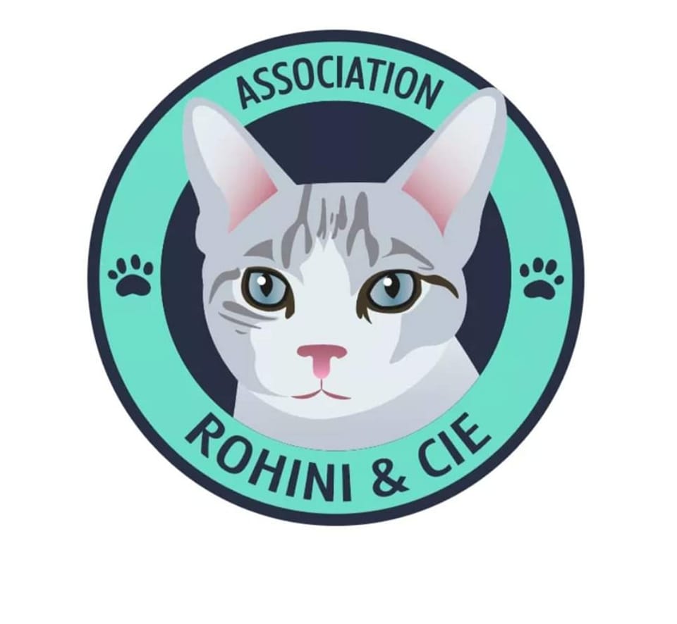 Logo Association Rohini et Compagnie