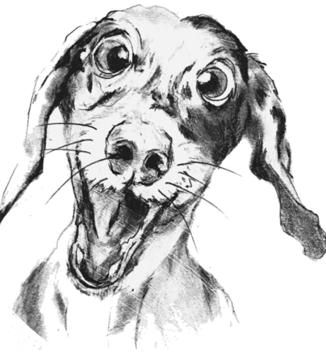 Logo Bouge ton chien en Retz