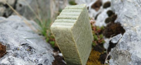 savon de la savonnerie au bois des prés
