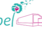 Logo APEL Ste Marie La Richardais