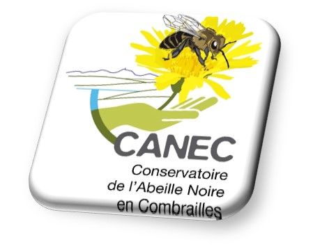 Logo CONSERVATOIRE DE L'ABEILLE NOIRE EN COMBRAILLES - CANEC.