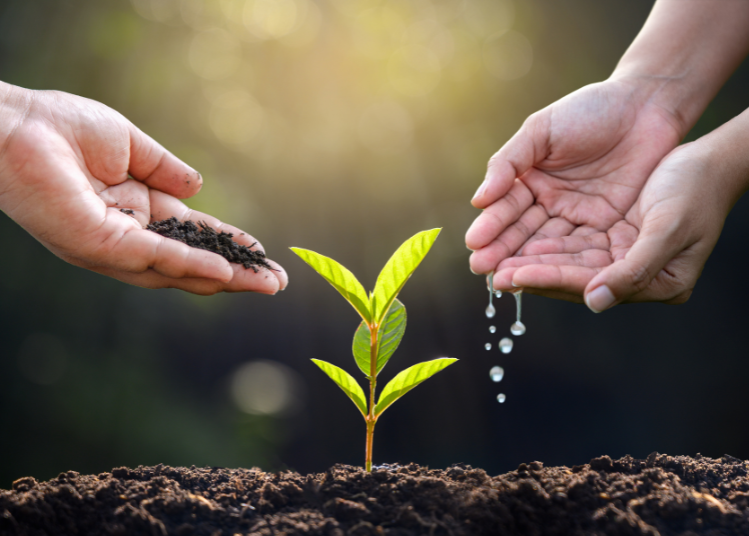 23/01/2026 Grandir en estime de soi atelier 2