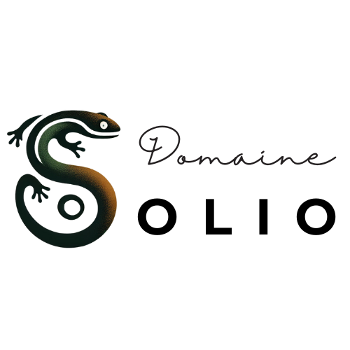 Logo Solio