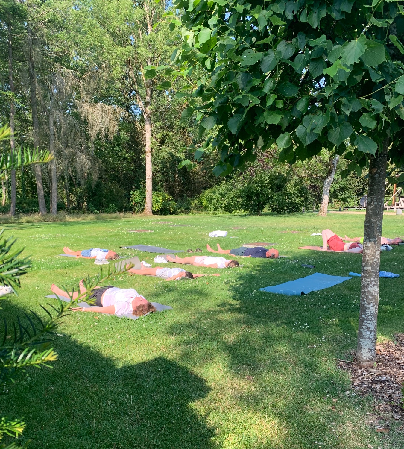 Yoga @ the park