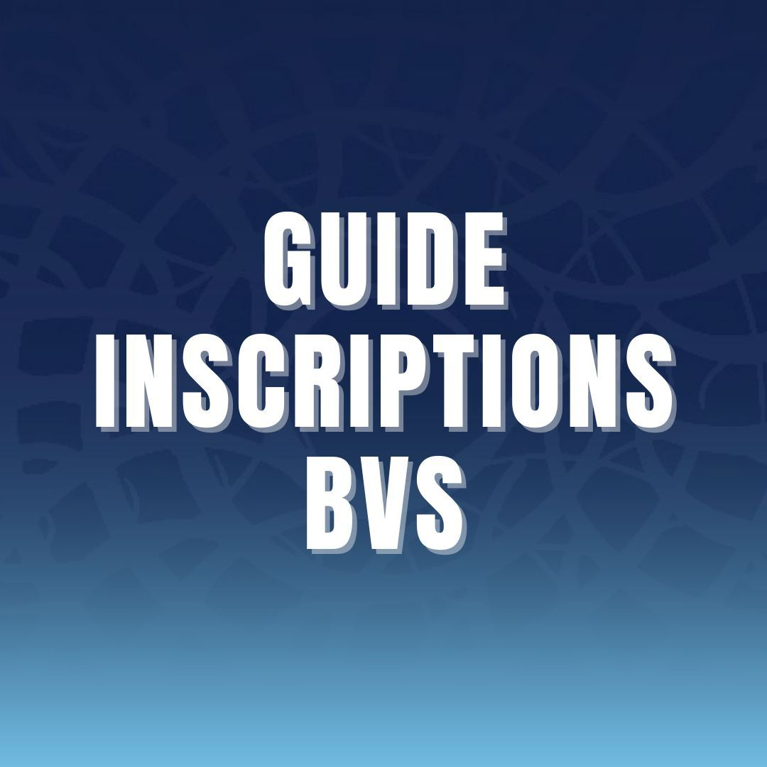 Articles - Vignette
