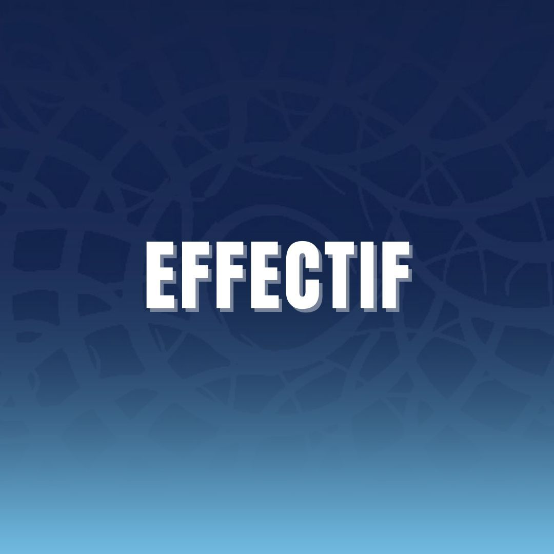 Articles - Vignette