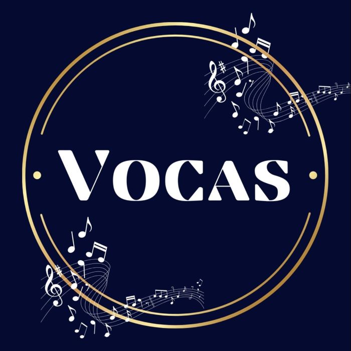 Logo VOCAS