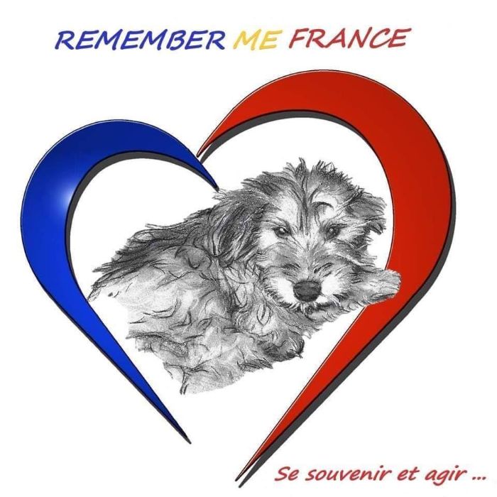 Logo Remember Me France