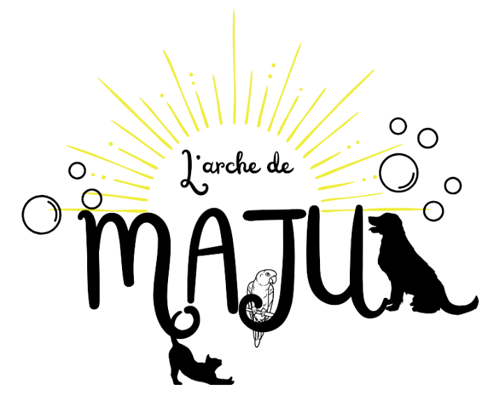 Logo L'Arche de MAJU