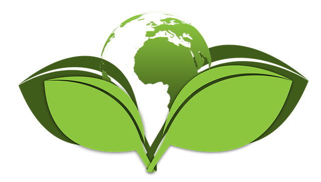 Logo THELOUPROJECT