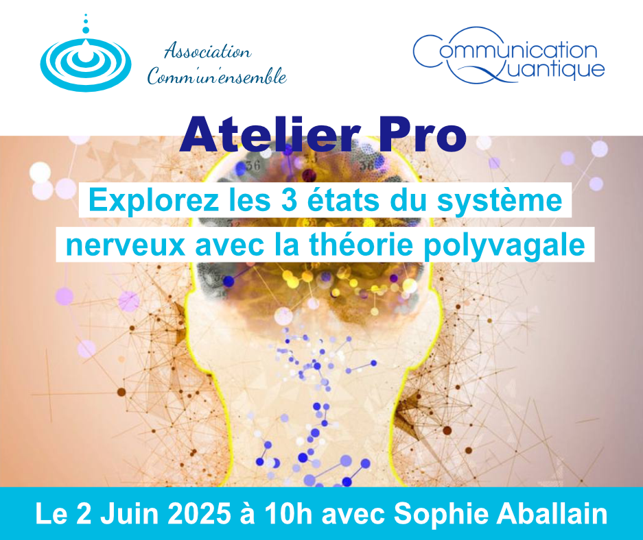 Explorer les 3 états du système nerveux avec la théorie polyvagale