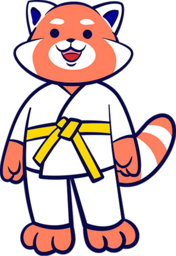 Stage Judo Février 2025