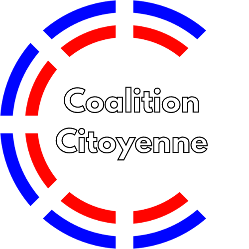 Logo Réunion & Décision Citoyenne