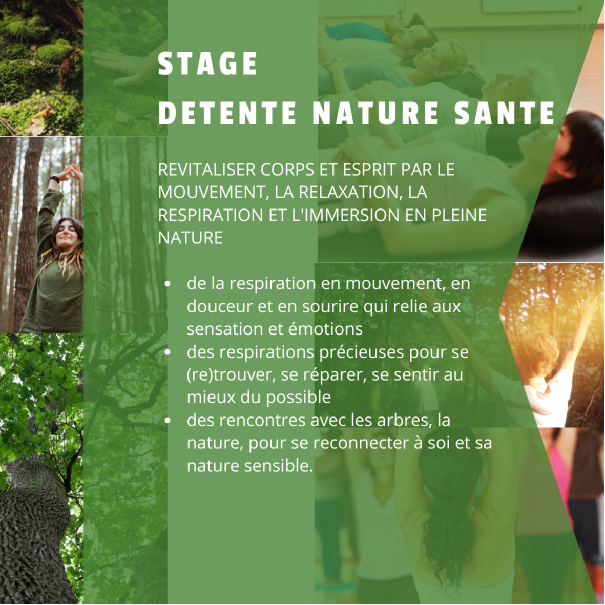 Stage pour tous : DETENTE NATURE SANTE